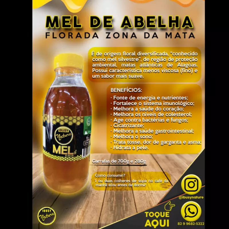 Mel de abelha (700g) 🐝