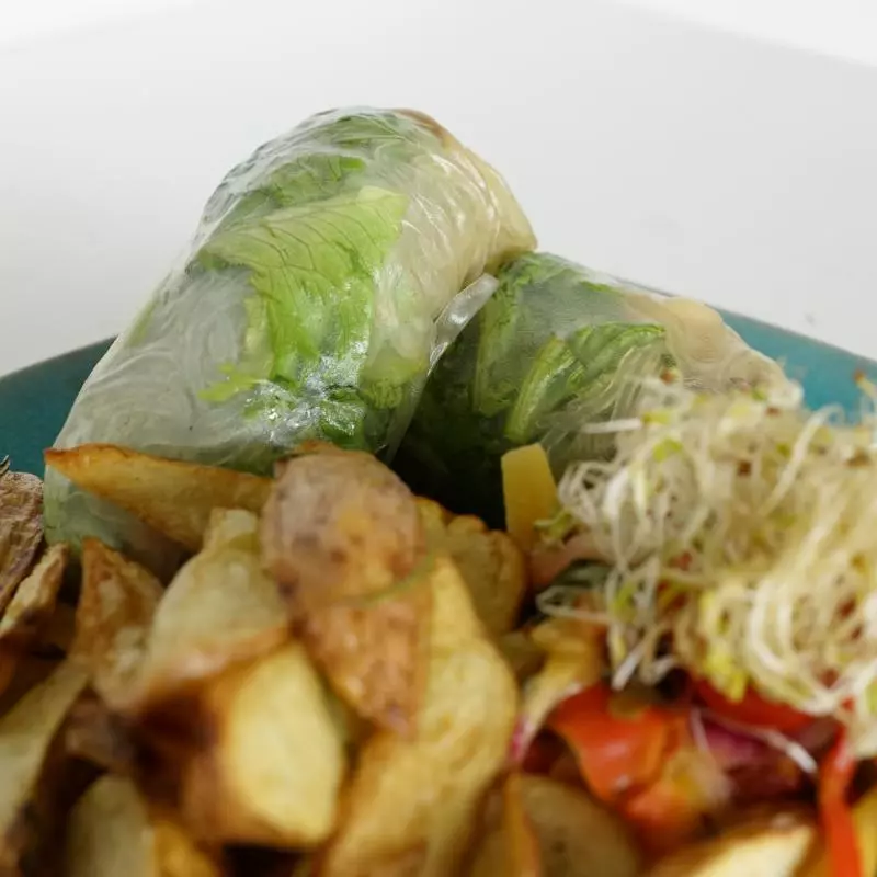 Rollitos de papel/ rice paper roll