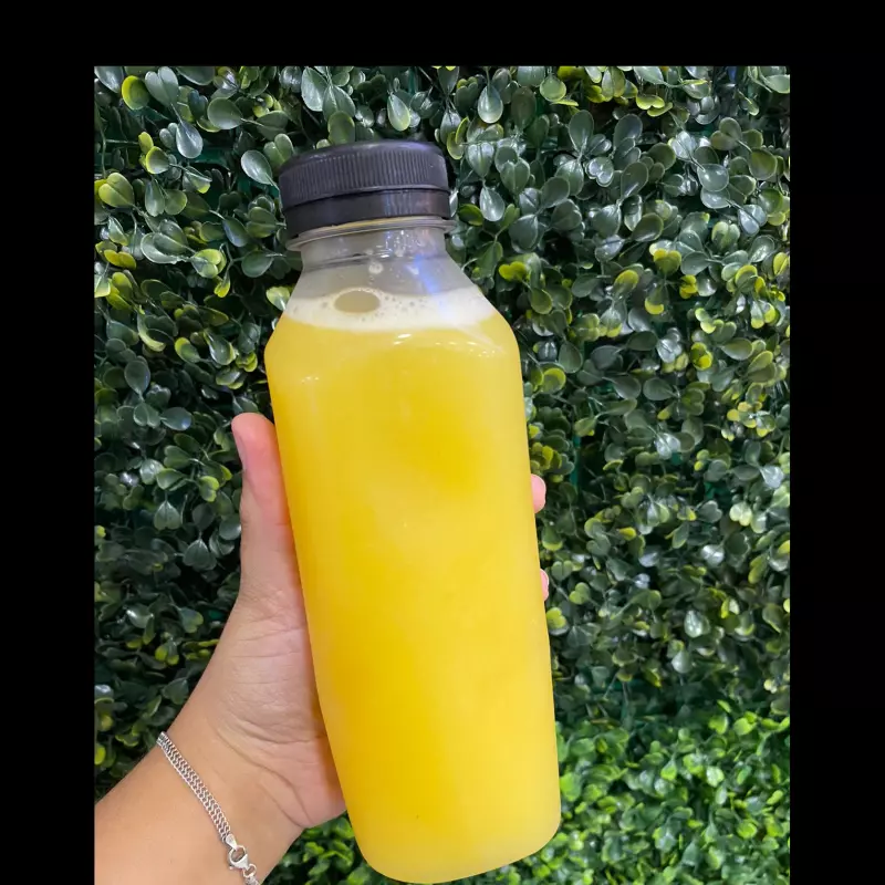 SUCO NATURAL ABACAXI (300ML)