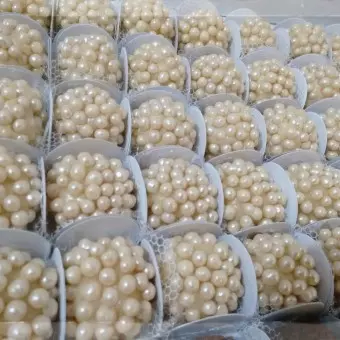 Brigadeiro de Pérolas