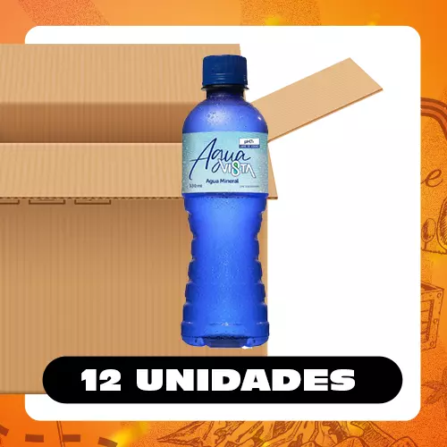 Bulto Vista Agua 330ml