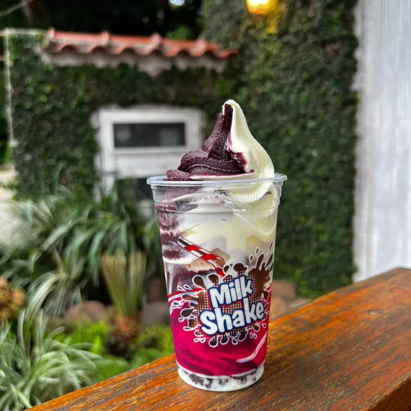 Sorvete Açaí com Leite Ninho 300ml