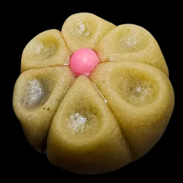 Doce Nerikiri de Matcha