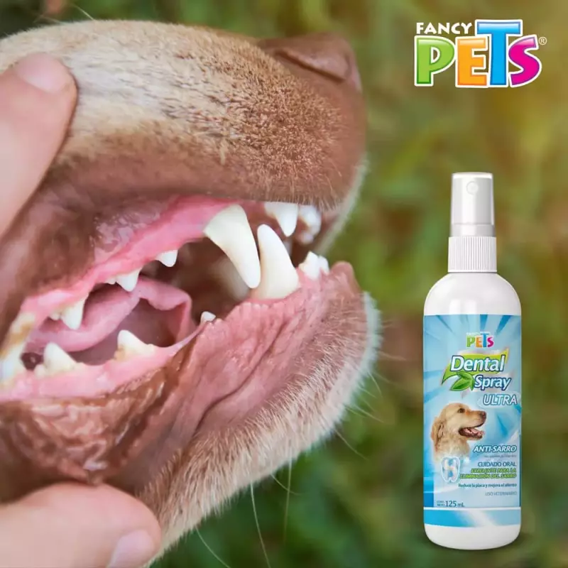 SPRAY DENTAL