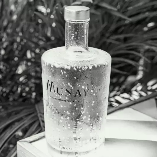 Agua Mineral con Gas Munay