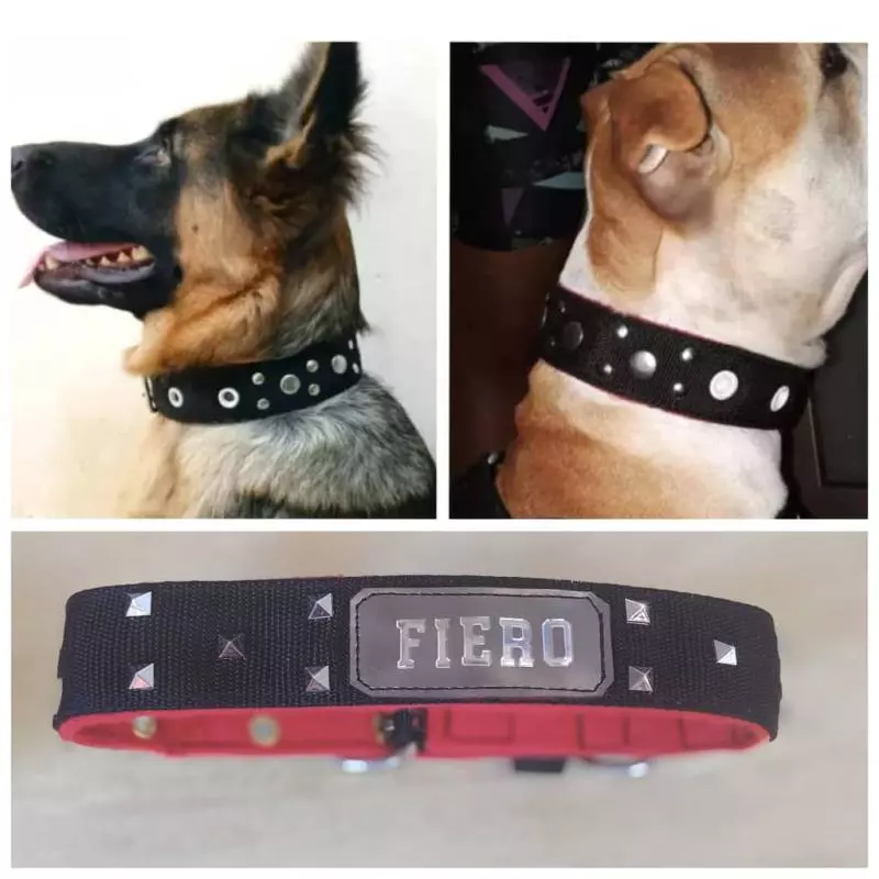 COLLAR DE PASEO
