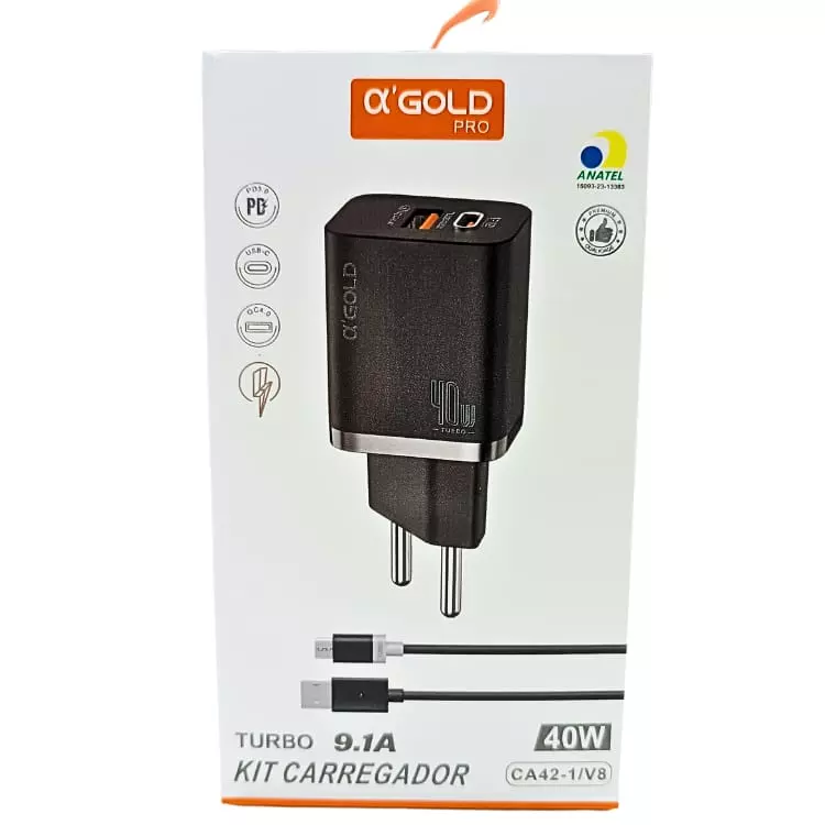 CARREGADOR GOLD CA42-1 V8