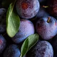 CIRUELA IMPORTADA BANDEJA 500 GMS