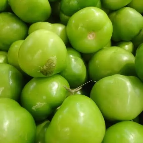 Tomate Limpio
