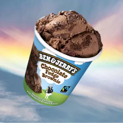 Chocolate Fudge Brownie 458ml