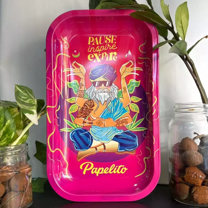 Bandeja Papelito Young Rosa Grande