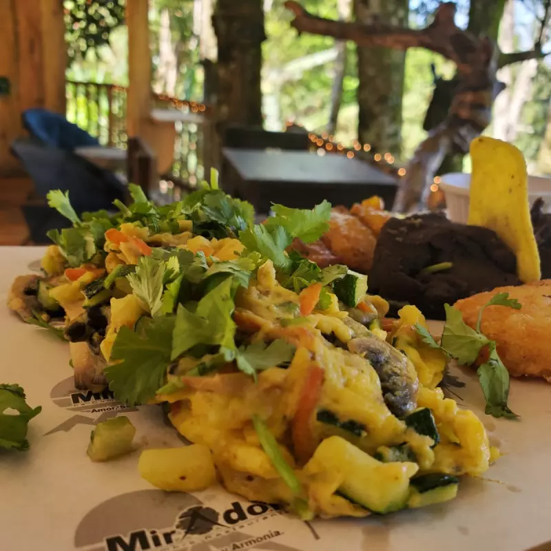 DEL BOSQUE From the forest