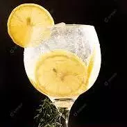 Gin Tônica Laranja