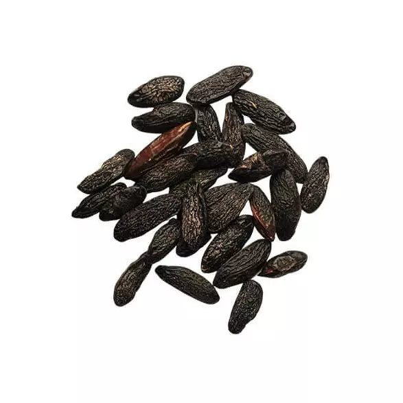 Semente de cumaru - 10g