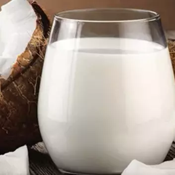 Leche de Coco en Polvo