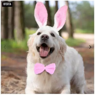 Disfraz de Conejo