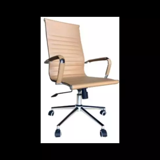 Presidente Esteirinha BEGE