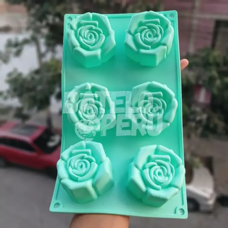 SILIC. ROSAS GDS X6CAV