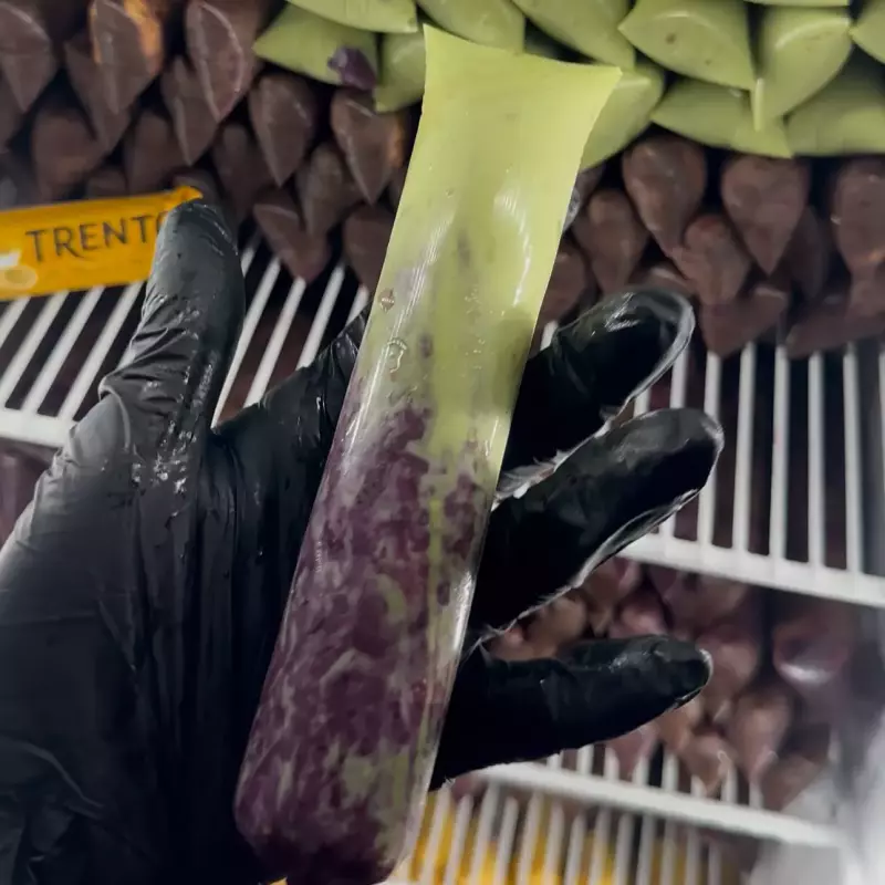 Açaí + Creme Pistache 💜