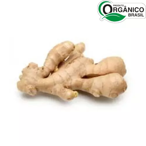 Gengibre Orgânico 50g