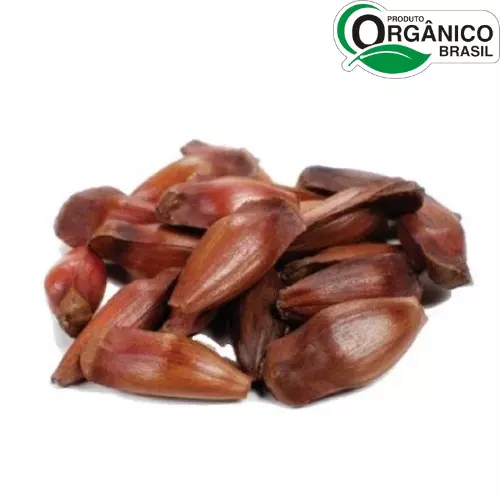 Pinhão Orgânico 50g