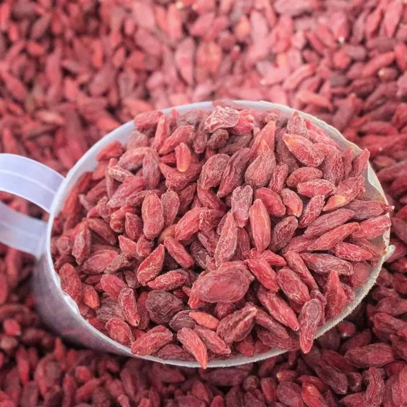 GOJI BERRY - GRANEL