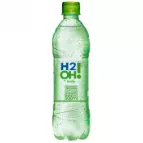 H20