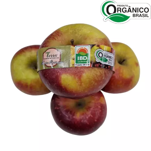 Maça Importada Orgânica