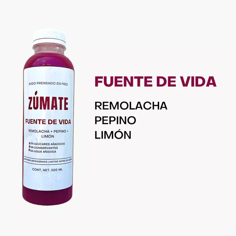 Fuente de vida