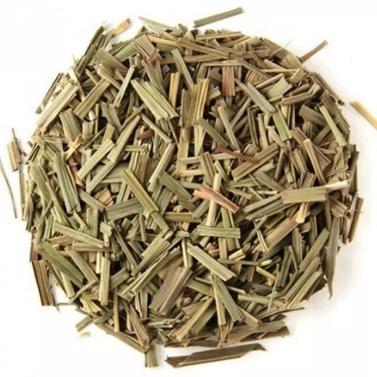 Erva Cidreira (Melissa)