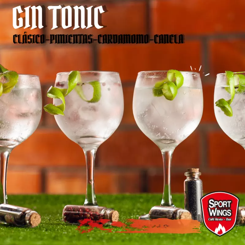 Gin Tonic