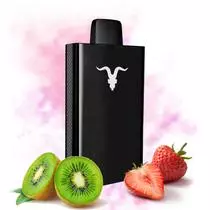 Strawberry Kiwi
