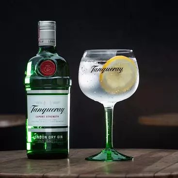 GIN frutas (tanqueray)🍀