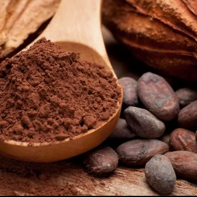 Cacao Puro