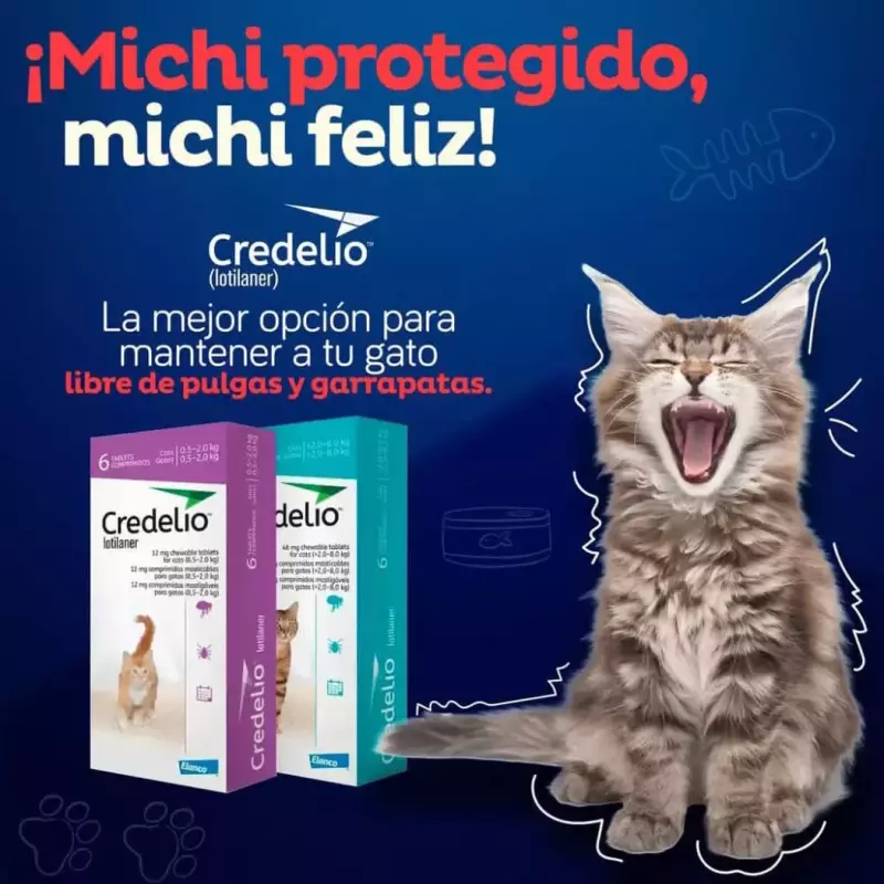 Credelio para gatos