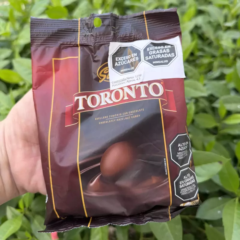 BOLSA DE TORONTO X 13 UNID