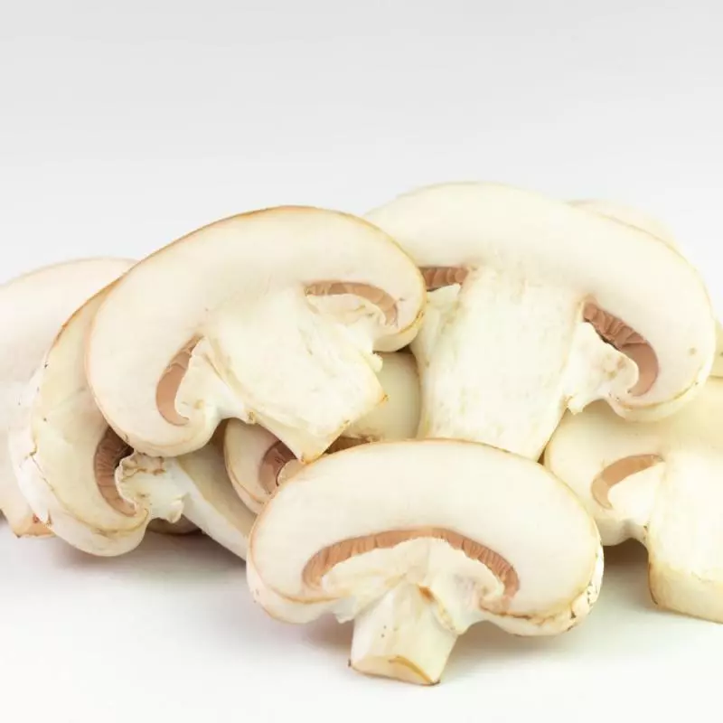 Champiñon Rebanado
