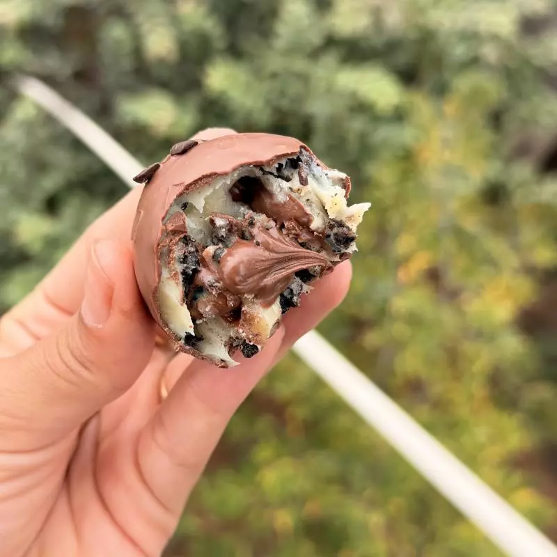 Bombom oreo coberto com chocolate