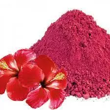 Hibisco em Pó