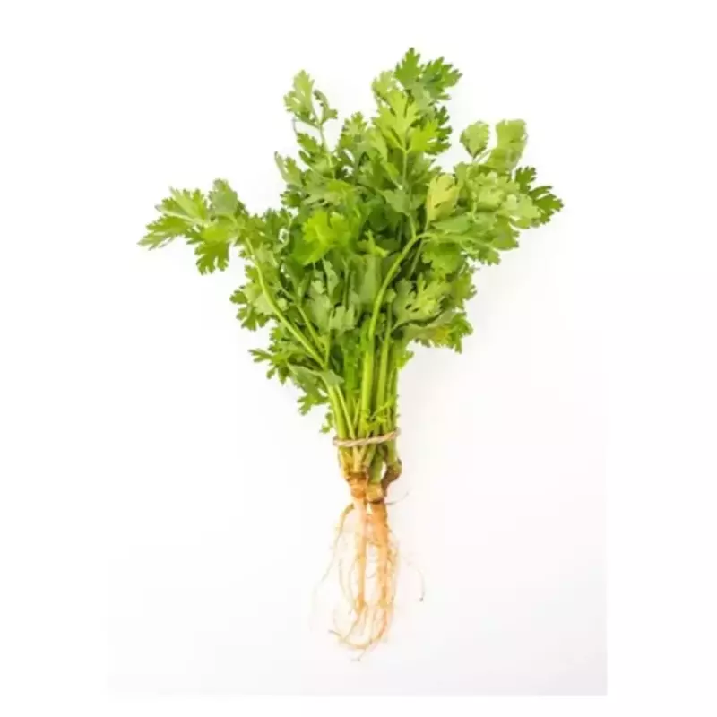 Cilantro Fresco (1 manojo)