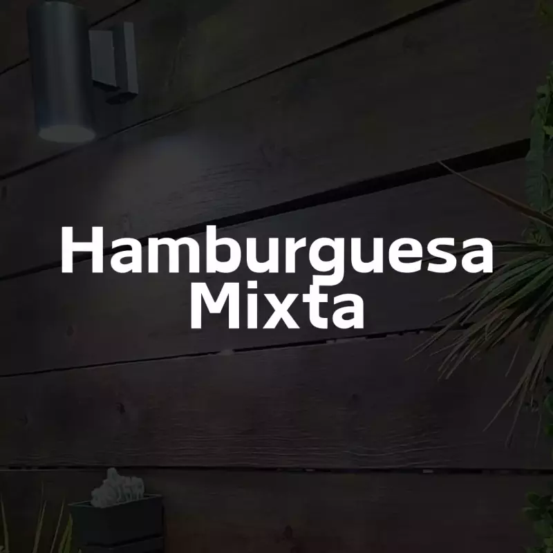 Hamburguesa Mixta