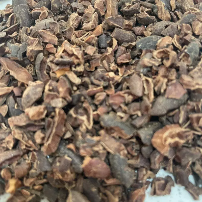 Nibs de cacau orgânico da Bahia