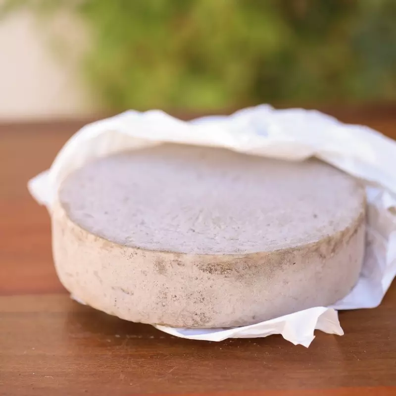 QUEIJO CENERINO