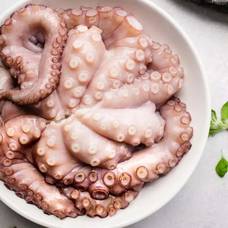 Tentáculo polvo M 100/150 vácuo