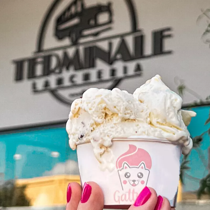 Gattino Gelato grande