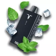 Pod ignite menta