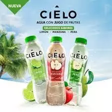 AGUA DE JUGO DE FRUTA 355ML CIELO