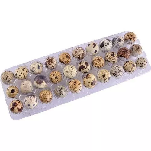 Ovos de codorna