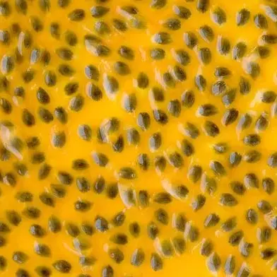 Maracujá com semente