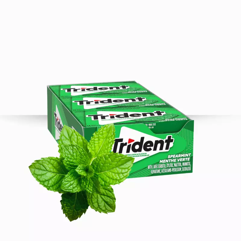 TRIDENT SPEARMINT 12UND